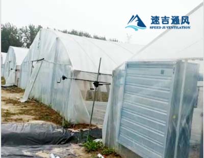 徐州蔬菜大棚种植专用镀锌板负压风机通风降温工程