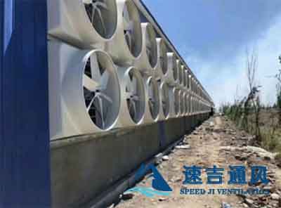 /uploads/PJT/PJ11.jpg /uploads/PJT/PJ11.jpg