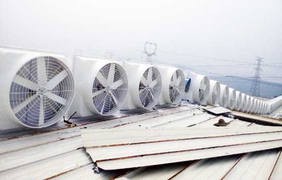 宁波屋顶风机选型风叶 宁波屋顶风机选型风叶