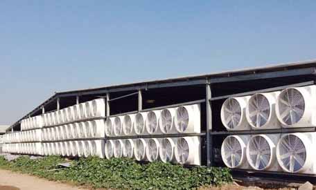 丹阳负压风机厂家介绍 丹阳负压风机厂家介绍