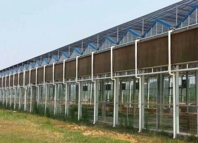 合肥车间水帘风机降温 合肥车间水帘风机降温