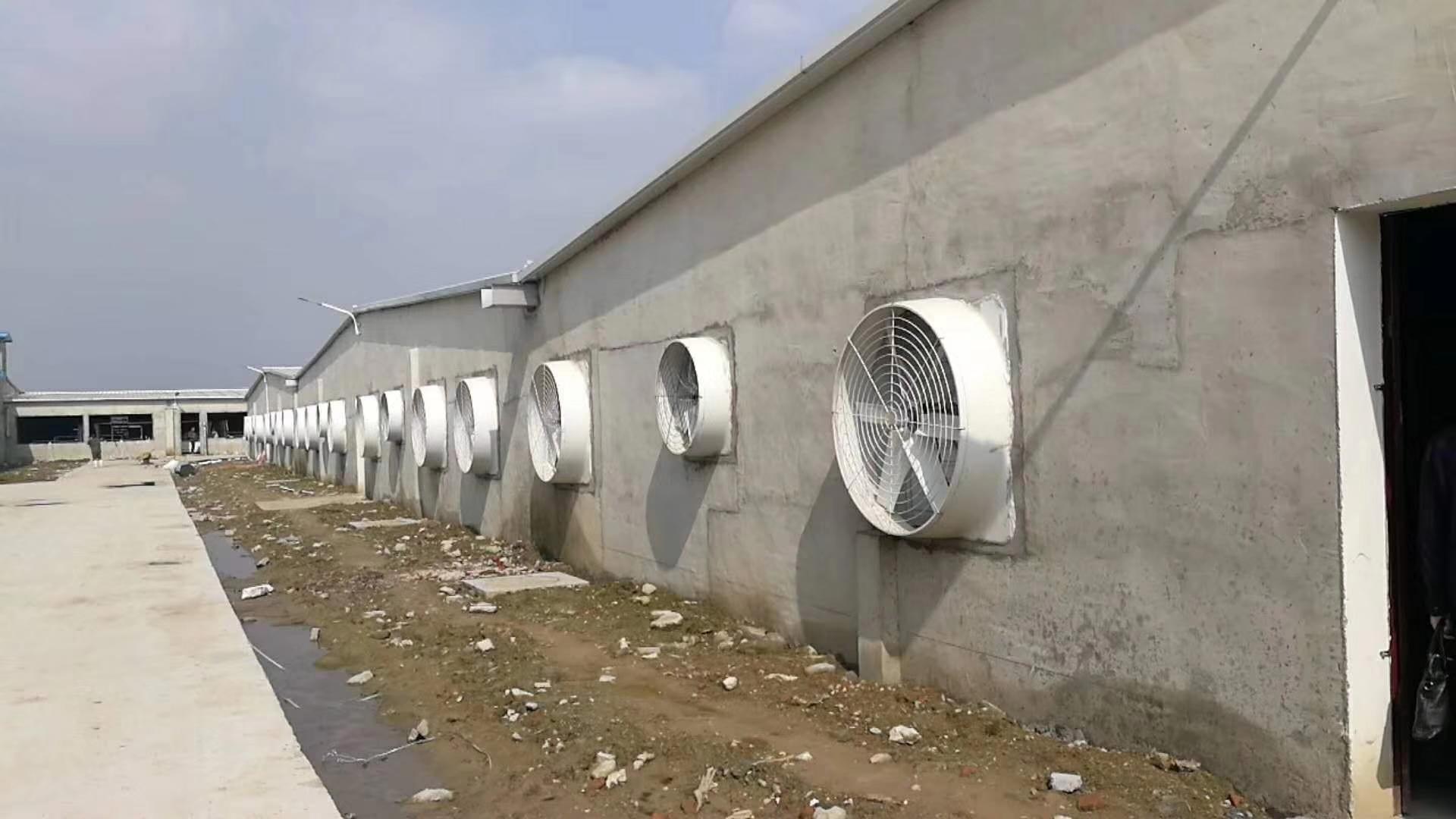 寿光节能负压风机 寿光节能负压风机