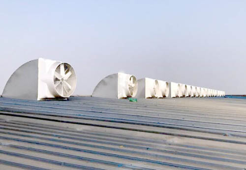 马鞍山屋顶排烟风机 马鞍山屋顶排烟风机