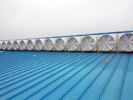 芜湖屋顶排烟风机 芜湖屋顶排烟风机