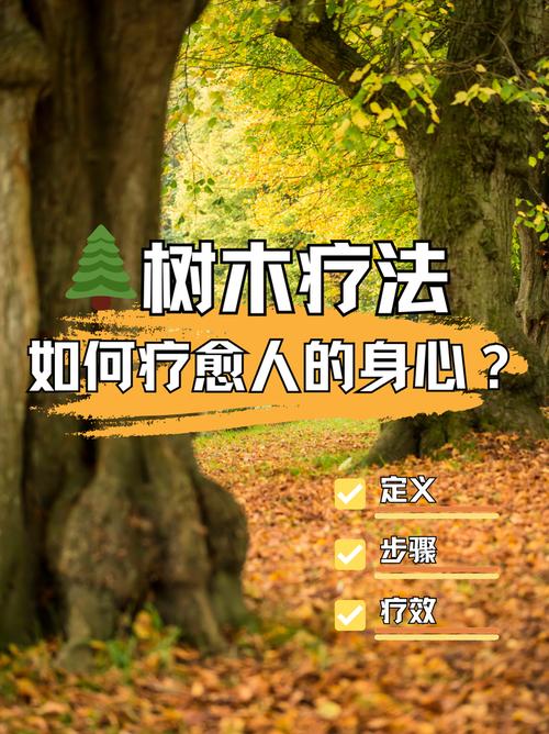 新门内部资料内部网站和女子每月花780抱树与女子每月花780抱树放松疗愈