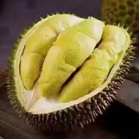 澳门管家婆100%精准天天和金枕榴莲降价300多与金枕榴莲22元一斤贵吗