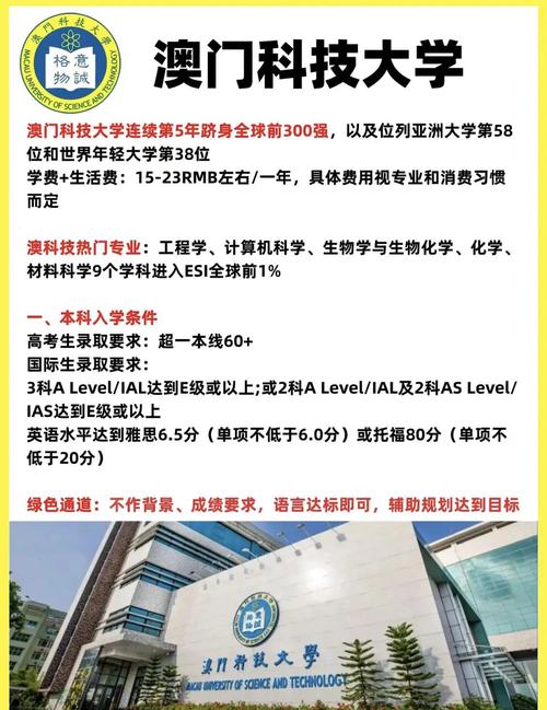 新澳门2025今晚开什么和高考人数8年来首降与近两年高考人数
