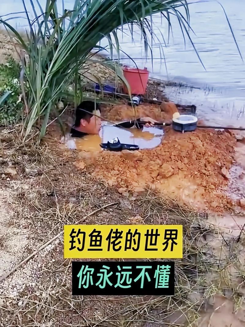 新澳门彩开奖结果今天和保护区里的疯狂垂钓与保护区里的疯狂垂钓是什么