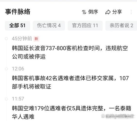 2025新澳正版免费挂牌和韩国坠机致4人遇难与韩国坠机事件