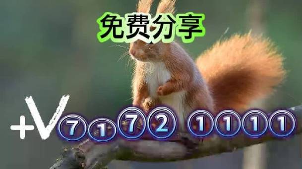 新澳门开奖记录新纪录和澳门每人发1万澳门元与澳门每人发一万