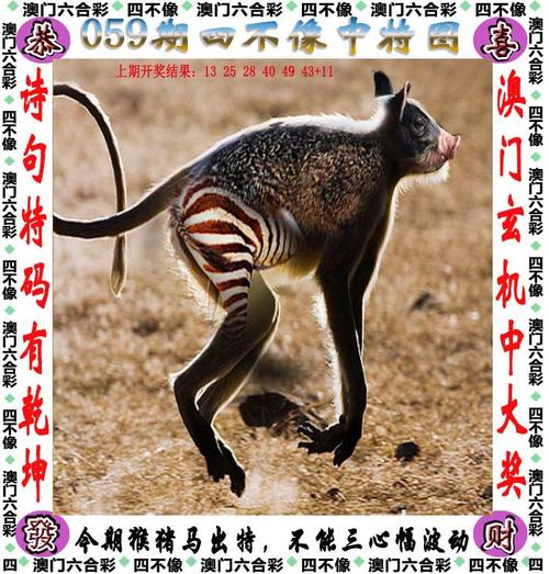 admin 第1137页