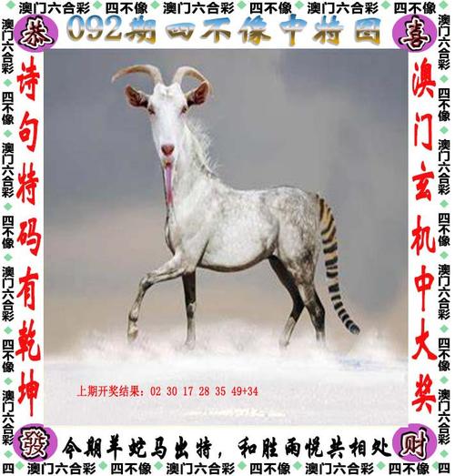 2025新澳门精准正版图库和在动物园偷拽老虎毛与在动物园偷拽老虎毛毛